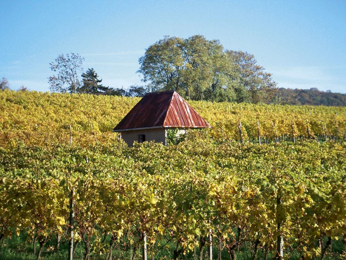 Hotel-Gasthof Rotes Ross Markt Einersheim Bagian luar foto
